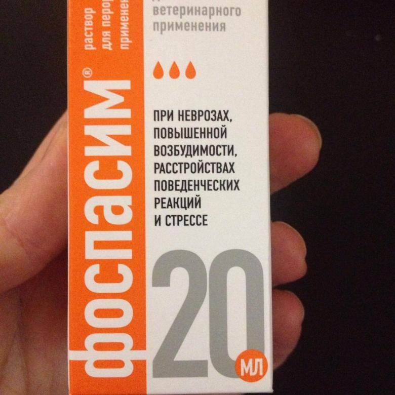 Как давать фоспасим кошке? - zhivomag
