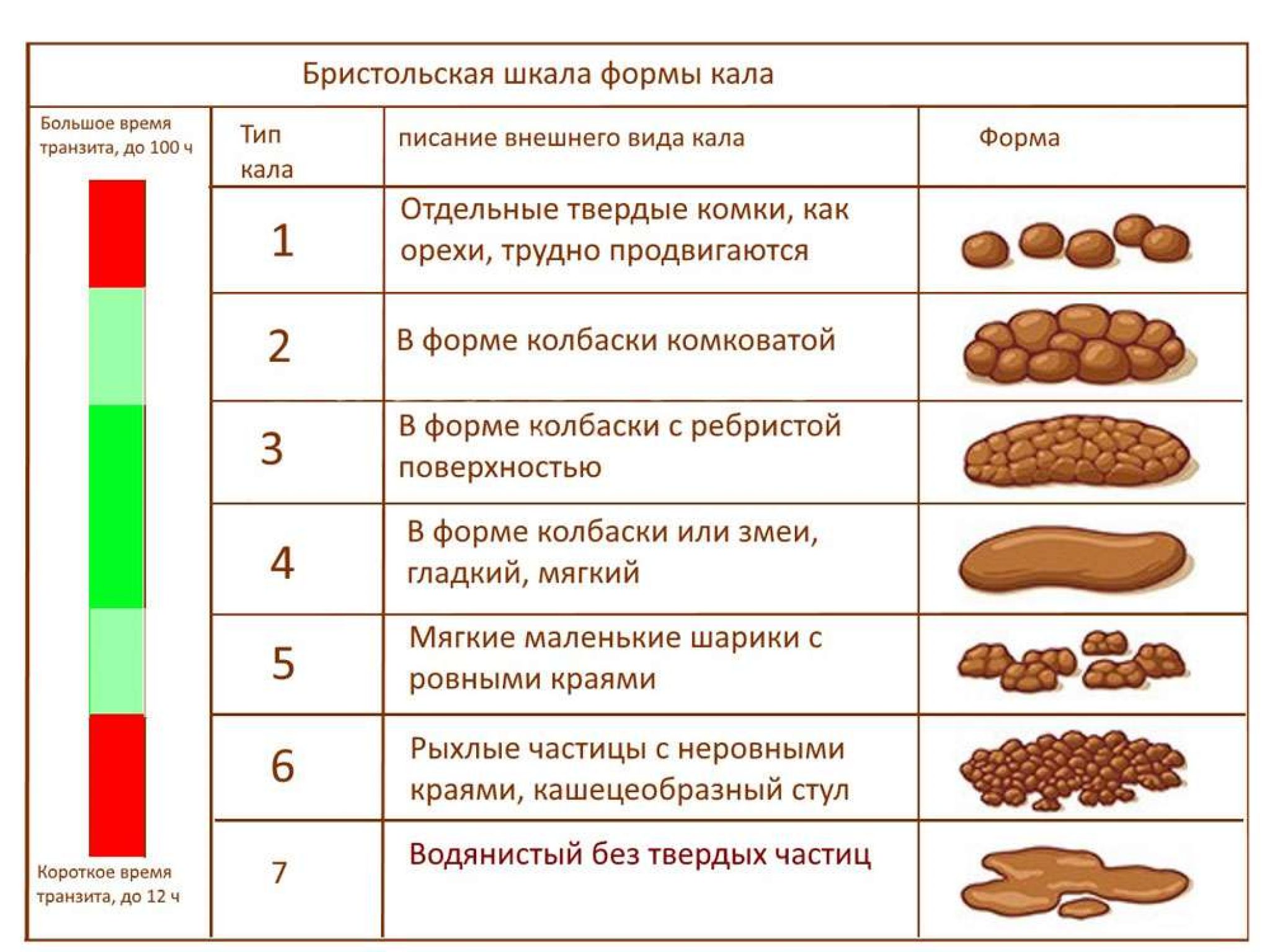 Бристольская шкала формы кала таблица