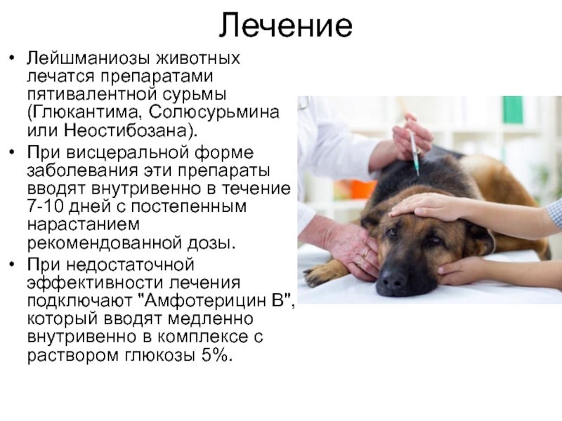 Синусит – симптомы, лечение, профилактика. виды синусита: гайморит, фронтит, этмоидит.