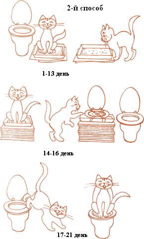 Как правильно дрессировать домашнего кота