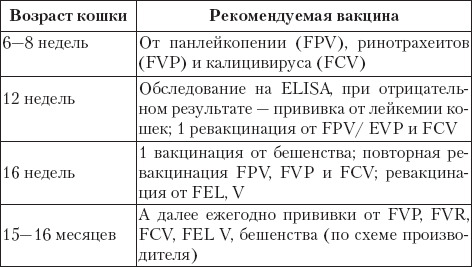 Схема прививки кошек