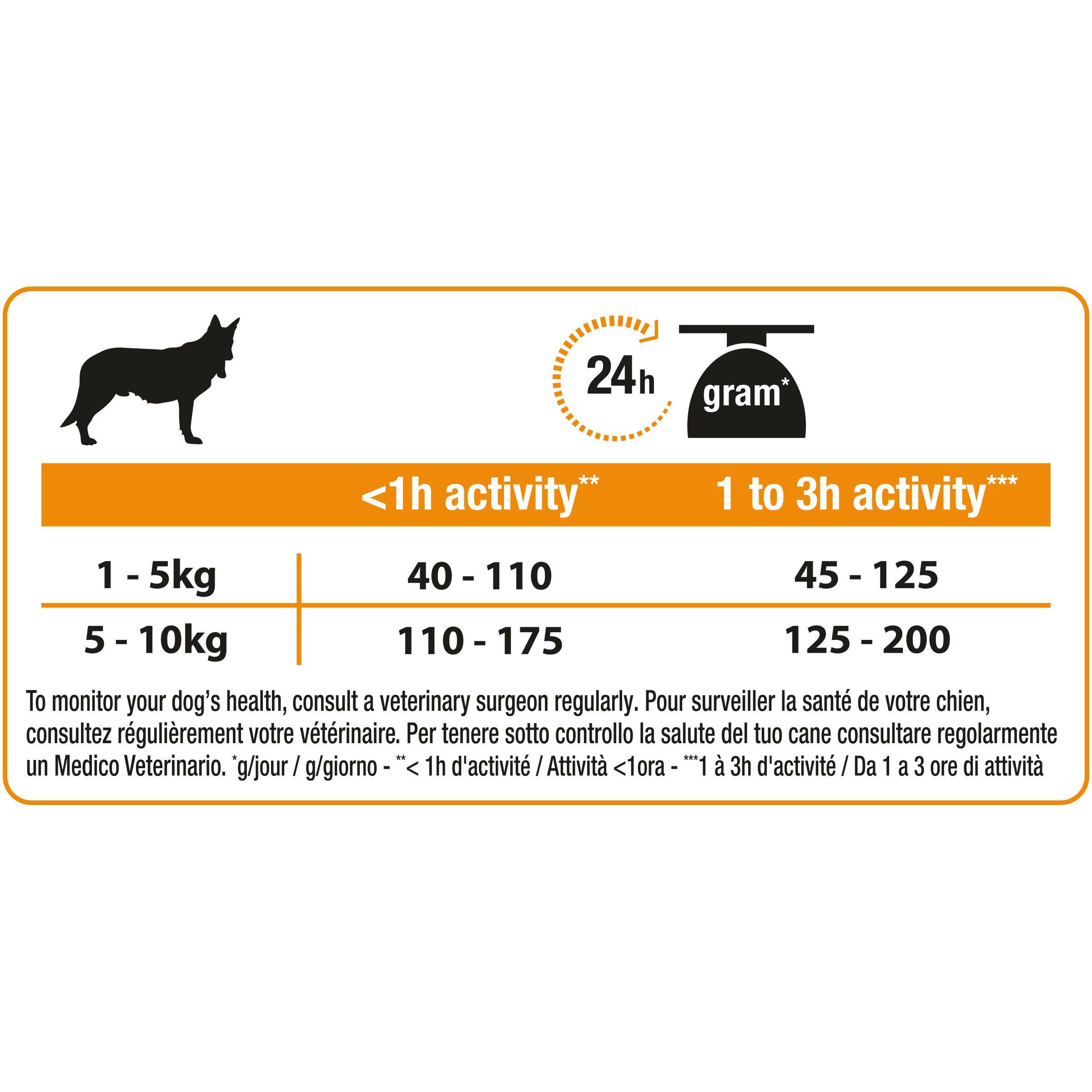 Топ-10: рейтинг кормов для собак лучшие сухие кормы 2022