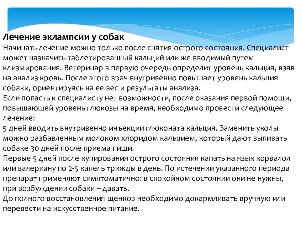 Послеродовая эклампсия у кошек