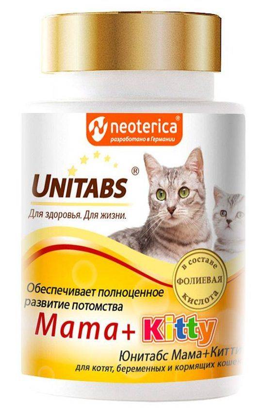 Витамины для котят: рекомендации, польза и отзывы