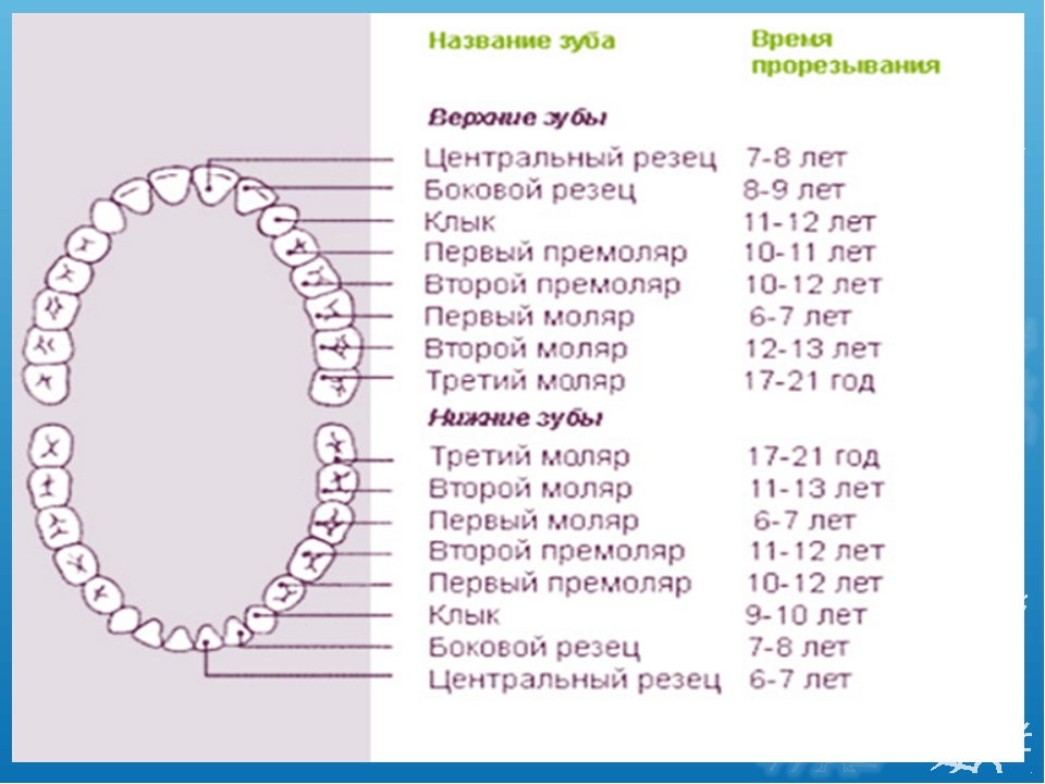 Как меняются молочные зубы на постоянные у детей схема когда возраст