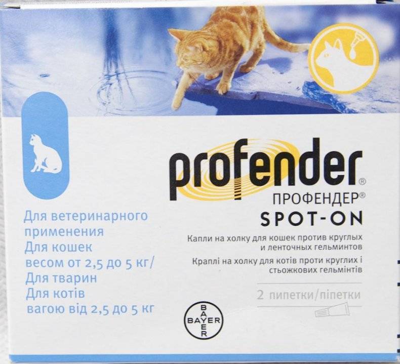 Профендер — ответ круглым и ленточным червям, паразитирующим в организме кошки