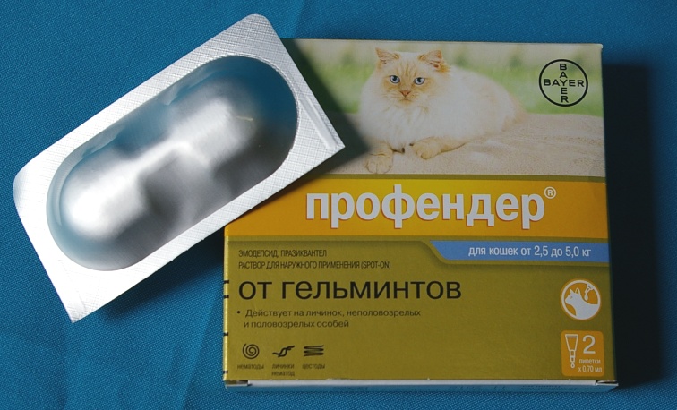 Препарат «профендер» для борьбы с глистами у кошек