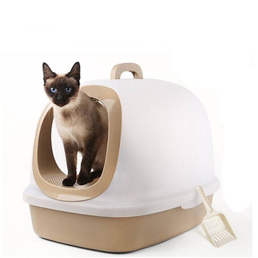 Туалеты-домики для кошек: как выбрать закрытый горшок для кота? особенности углового кошачьего лотка, отзывы владельцев