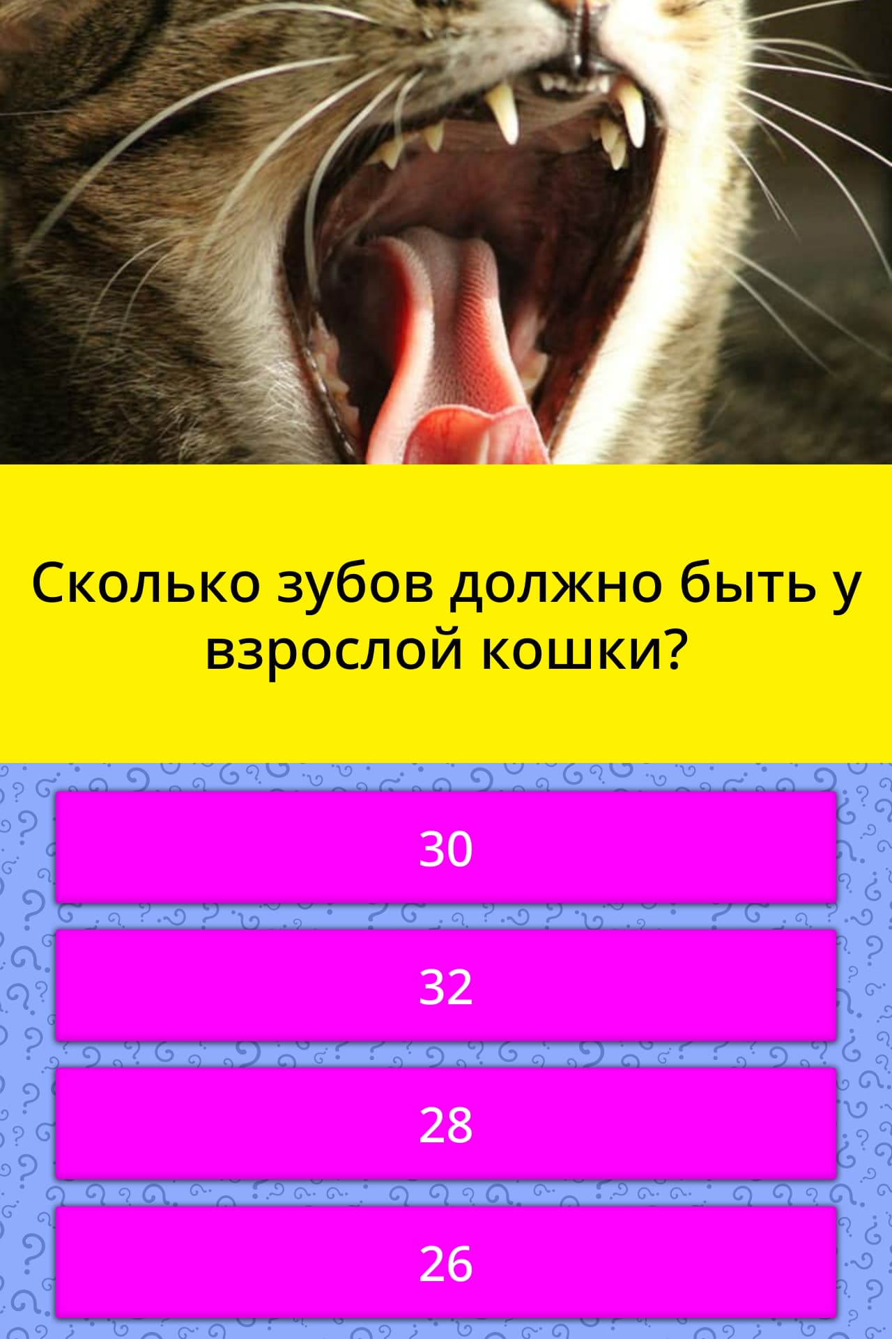 Когда меняются зубы у котят? 30 фото есть ли у кошек и котов молочные зубы? симптомы смены зубов на постоянные