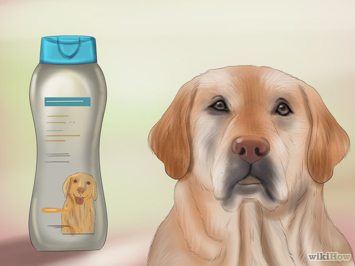 8 запахов, которые не любят собаки. многие не догадываются об этом