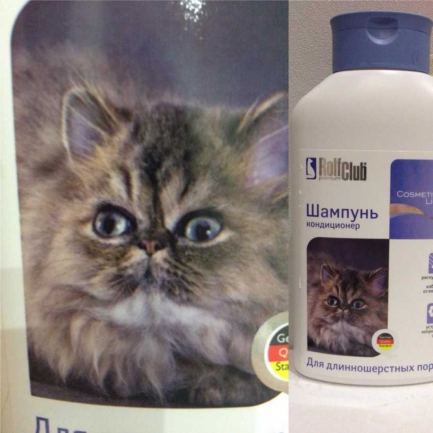 Опасно ли мыть кота обычным шампунем