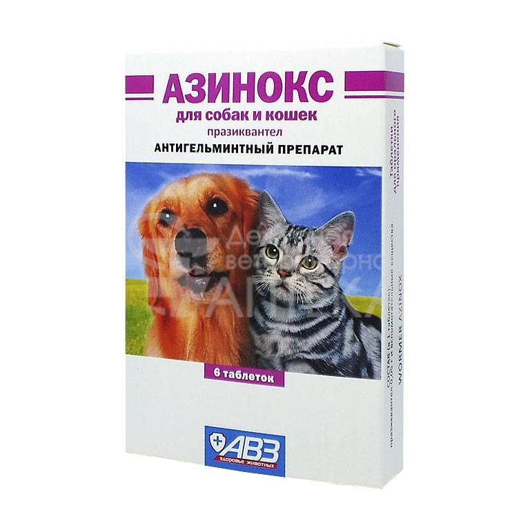 Азинокс плюс для собак: назначение, инструкция по применению. «азинокс плюс» и «азинокс» для кошек и собак: как применять? можно ли дать азинокс собаке после еды