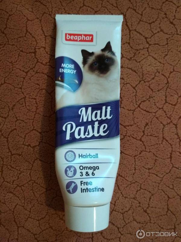 Мальт-пасты для котов: вред и польза, обзор марок