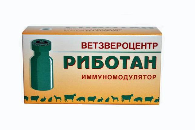 ᐉ риботан — инструкция по применению для собак - ➡ motildazoo.ru