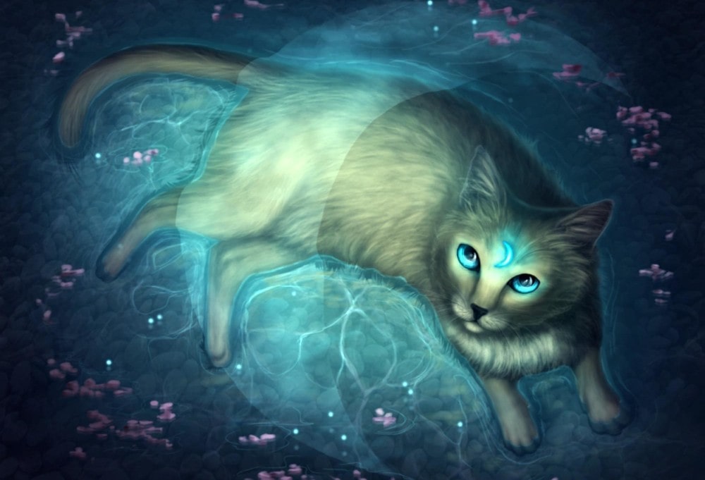 Кошки в колдовстве: почему им приписывают магические свойства?