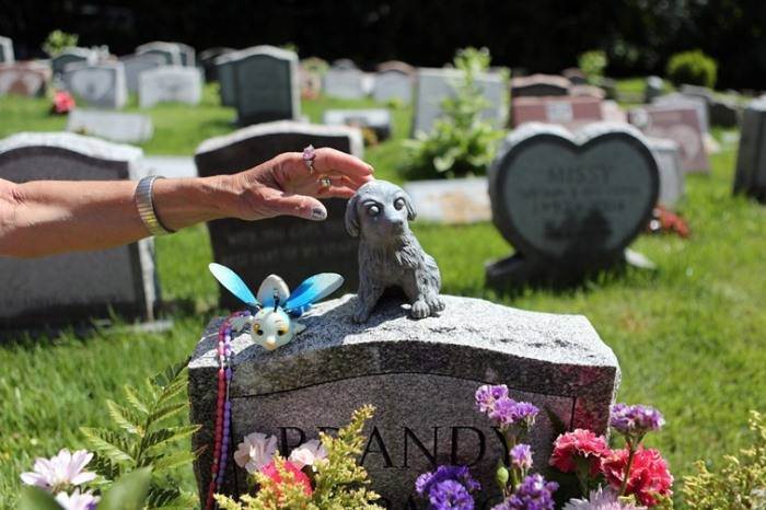 Захоронение домашнего животного у православных: можно ли хоронить на кладбище или нет, особенности процедуры