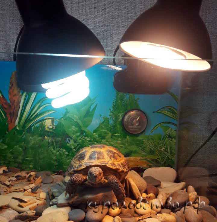 Лампа для водоплавающих черепах