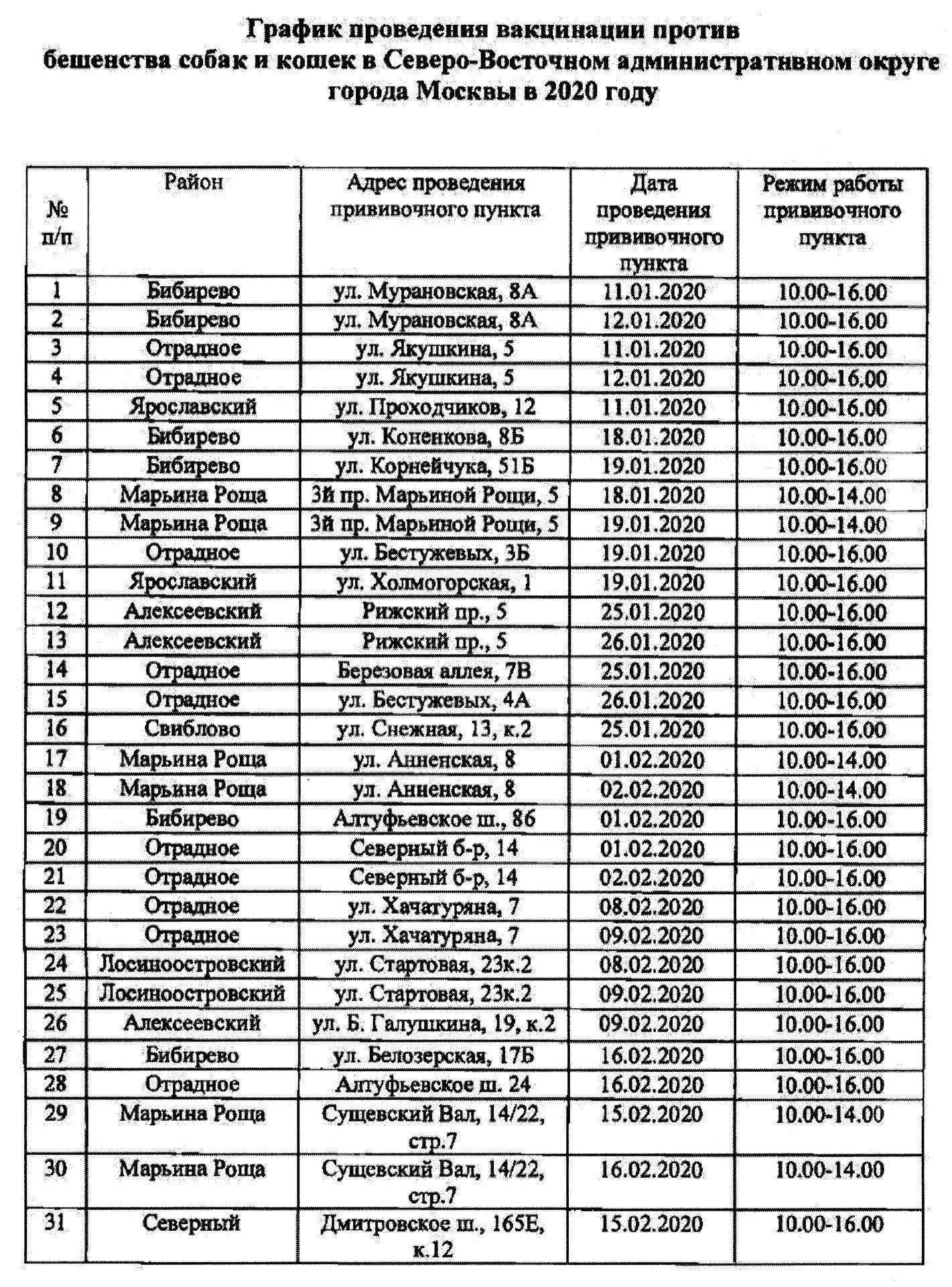 Вакцинация животных 2024 график