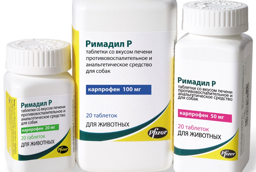 Можно ли давать и как применять «римадил» для кошек?