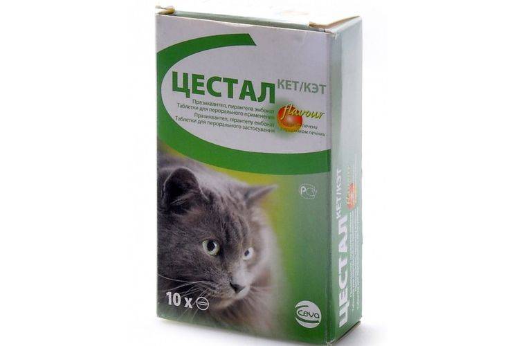 Инструкция по применению препарата "цестал" для кошек