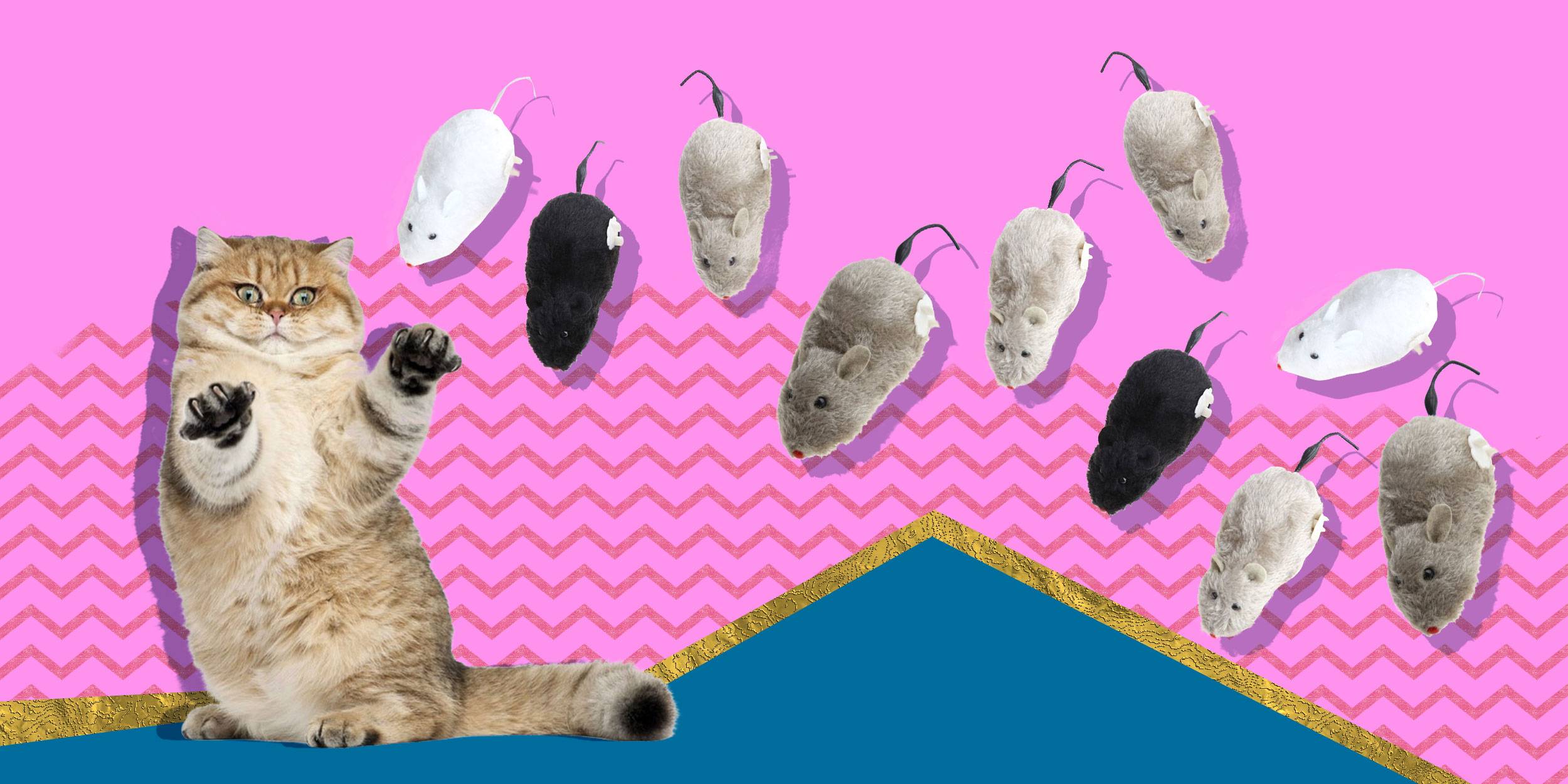 Расческа, колтунорез, рукавица для вычесывания, пуходерка для кошек: как ухаживать за шерстью и бороться с колтунами, причины их появления
