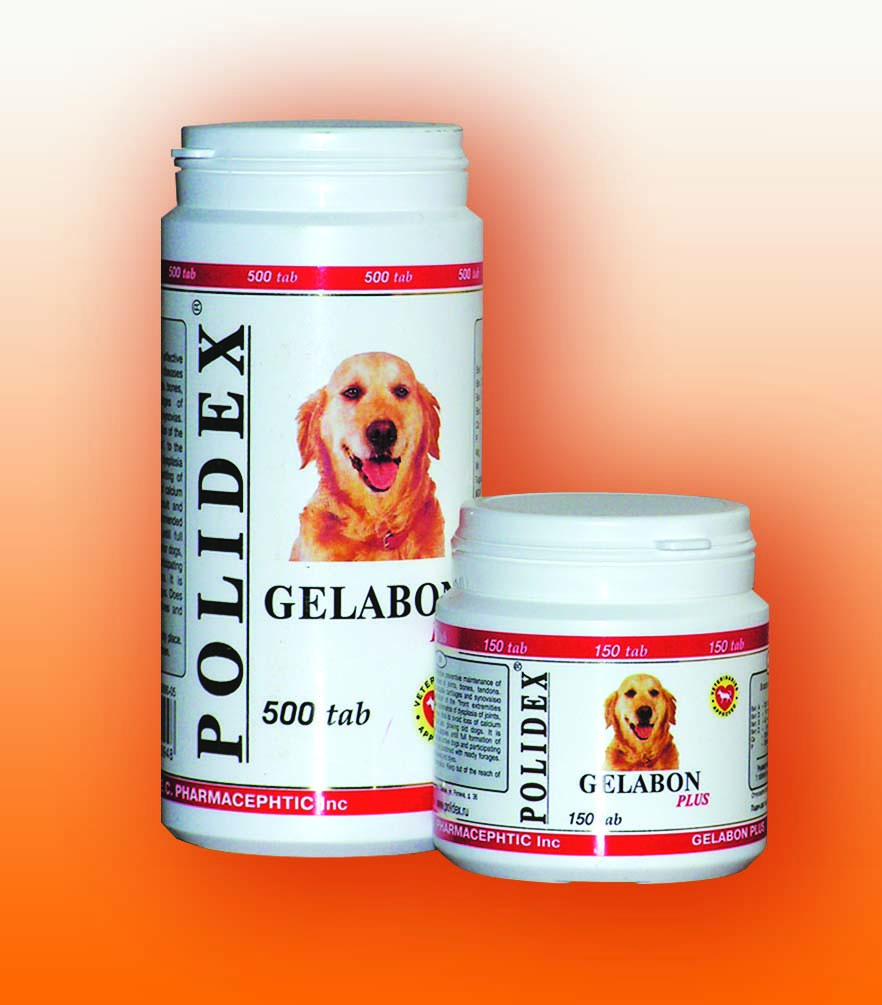 Полидекс гелабон для собак — инструкция по применению