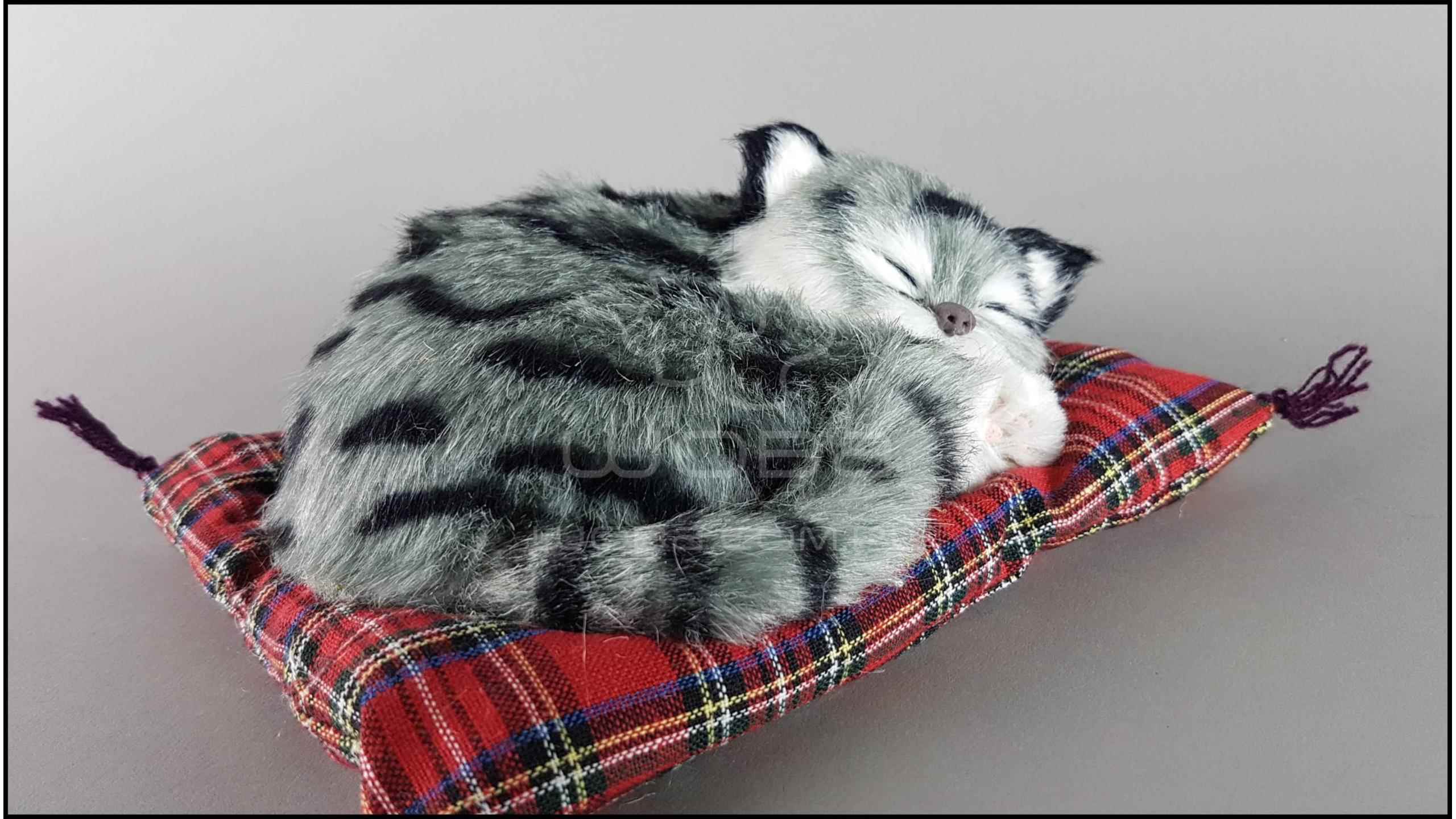 Почему кошка спит в голове на подушке у хозяина: причины, по которым кот ложится рядом с головой человека, приметы, способы отучить питомца от сна на голове у хозяйки