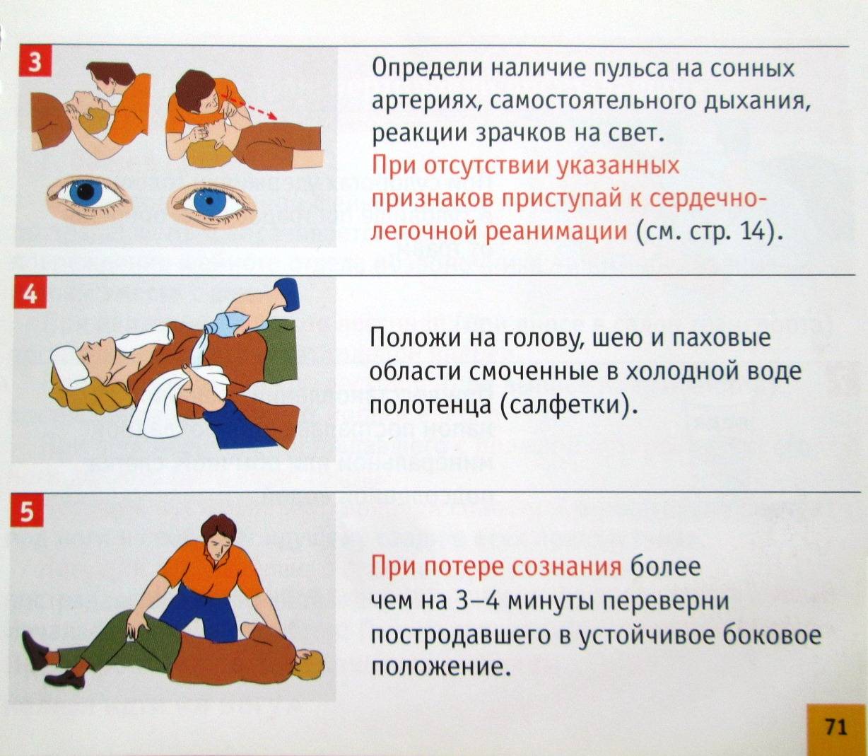 3 причины судорог у кошки - что делать