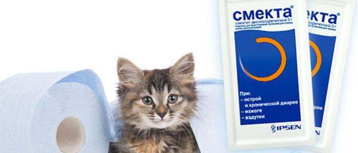 Таблетки и лекарства для кошек от поноса: список всех возможных лекарственных средств и их дозировка