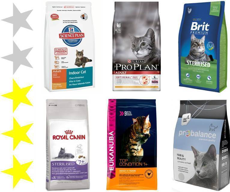 Обзор корма для кошек royal canin – отзывы, рекомендации