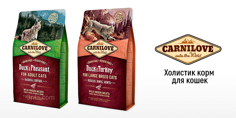 Корма для кошек премиум класса