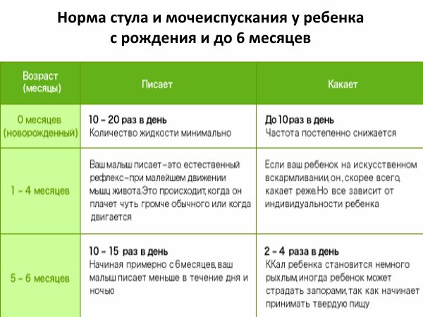 Как часто (сколько раз в день) кошка должна ходить в туалет по-большому и по-маленькому?
