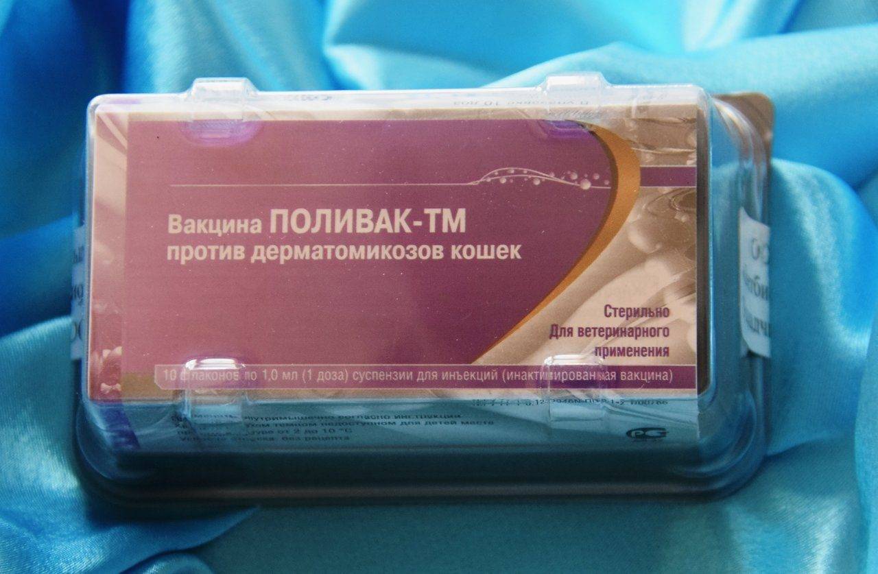 ᐉ вакцина поливак для собак — инструкция по применению - ➡ motildazoo.ru
