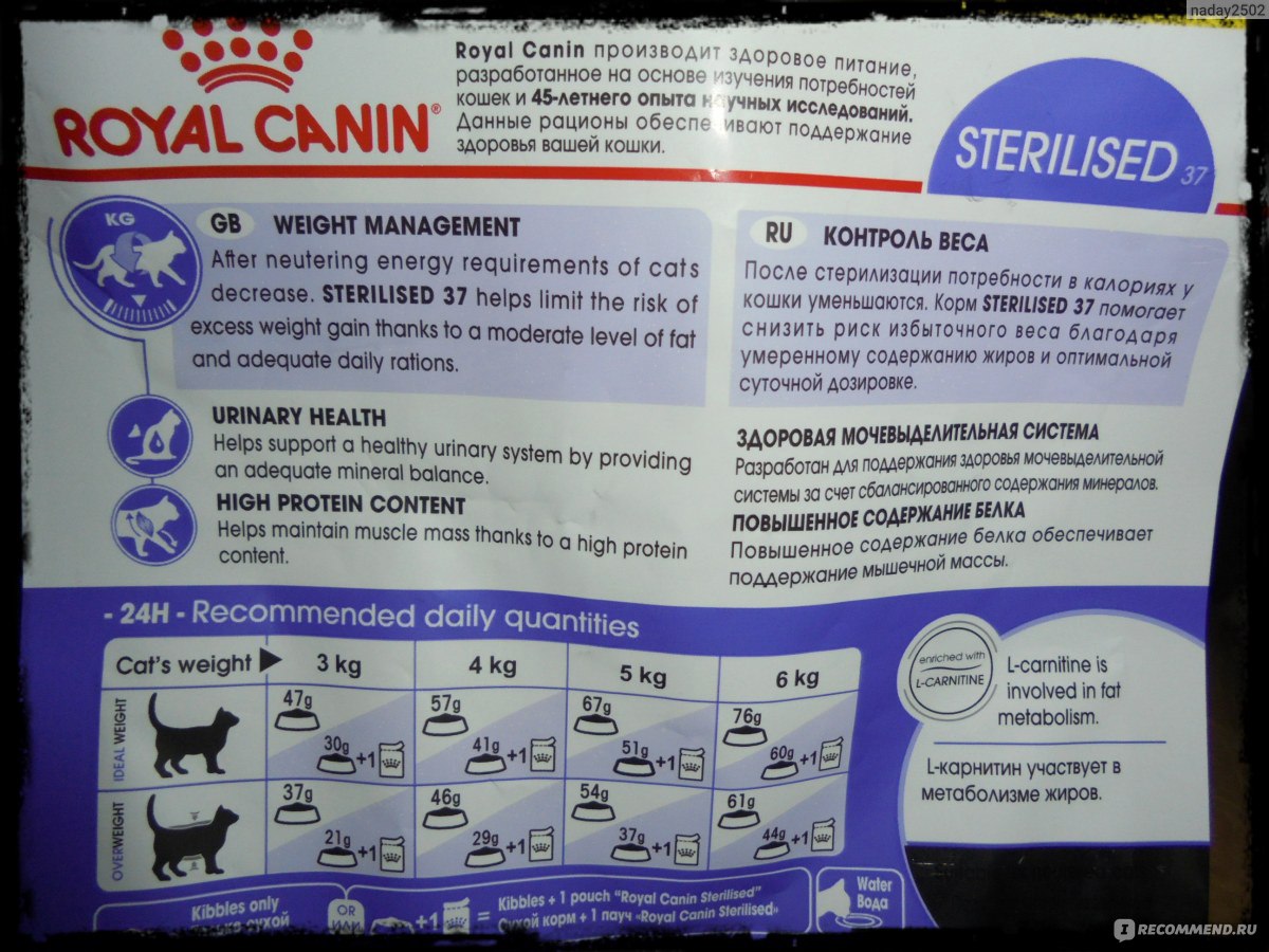 Роял канин ренал для кошек: состав корма, инструкция по применению, лечебный эффект