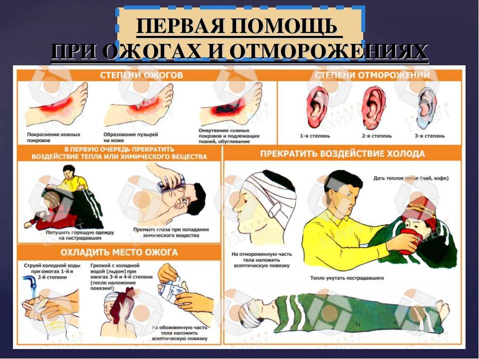 Рвота у кошки: причины, первая помощь, лечение и профилактика