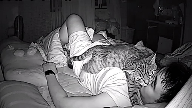 Почему коты и кошки спят на своих хозяевах: мистическое и научное объяснение