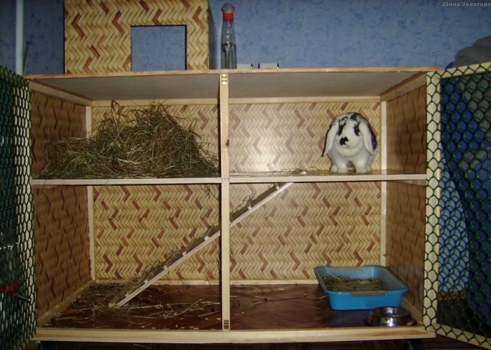 ✅ домик для кролика: как сделать своими руками в домашних условиях, чертежи и размеры, обустройство, фото, видео - tehnoyug.com