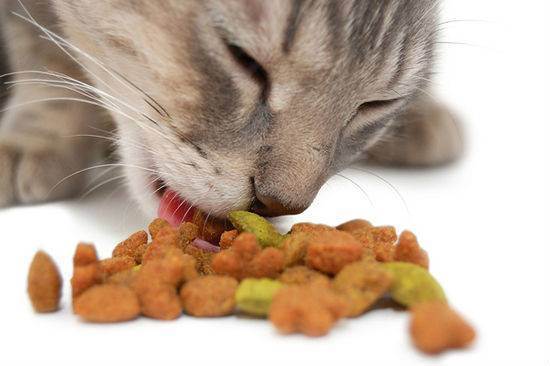 Всё про корма для кошек - классы кормов для кошек, как выбрать корм, какой корм для кошки лучше, вредны ли корма, про сухой и консервированный (жидкий) корм, аллергия на корм у кошек - всё о кошках и котах