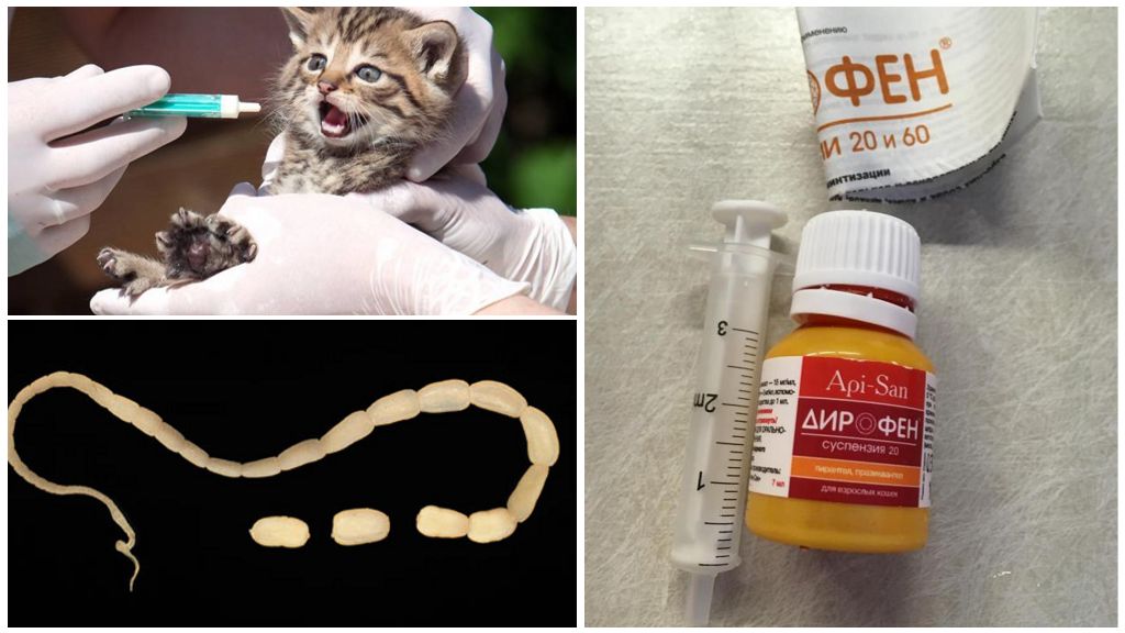 Дирофен таблетки от глистов инструкция по применению для кошек: состав, дозировка и отзывы