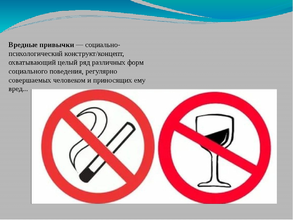 Рейтинг самых опасных продуктов и веществ для кошек и собак