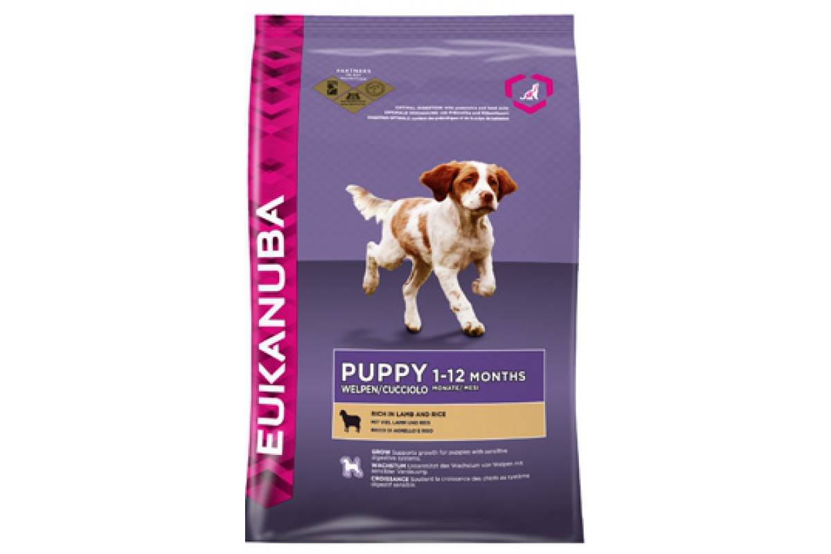 Корм для кошек eukanuba (эукануба): виды, состав, отзывы