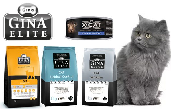 Корм для кошек gina (джина) — отзывы ветеринаров, владельцев