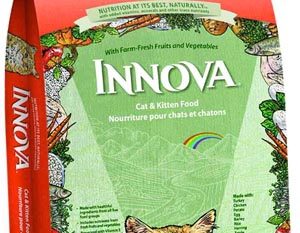 Innova - корм для кошек: состав, плюсы, минусы