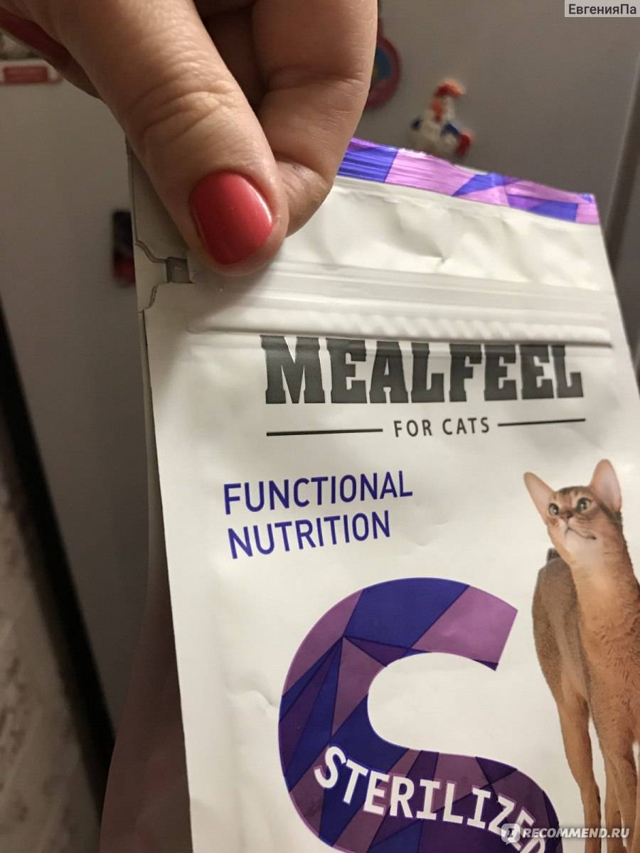 Корм для кошек mealfeel — отзывы, разбор состава, цена
