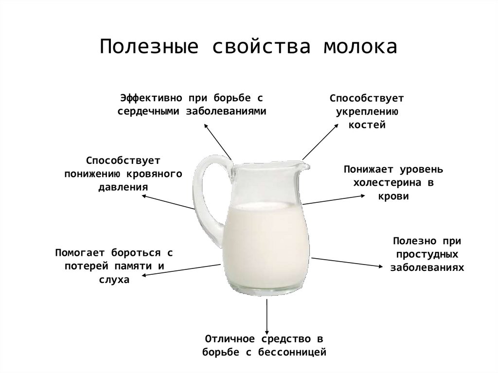 Можно ли собакам молоко