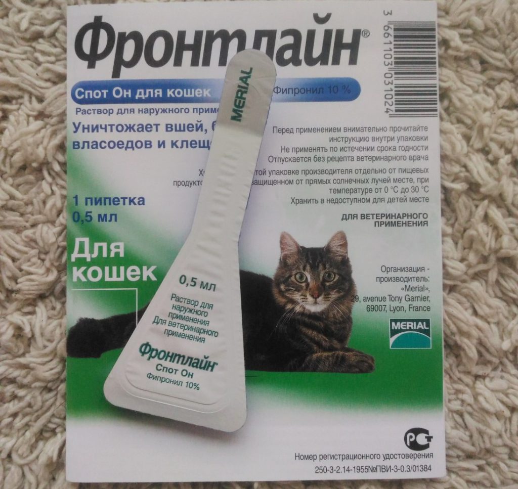 Топ-10 лучших средств от блох и клещей для кошек