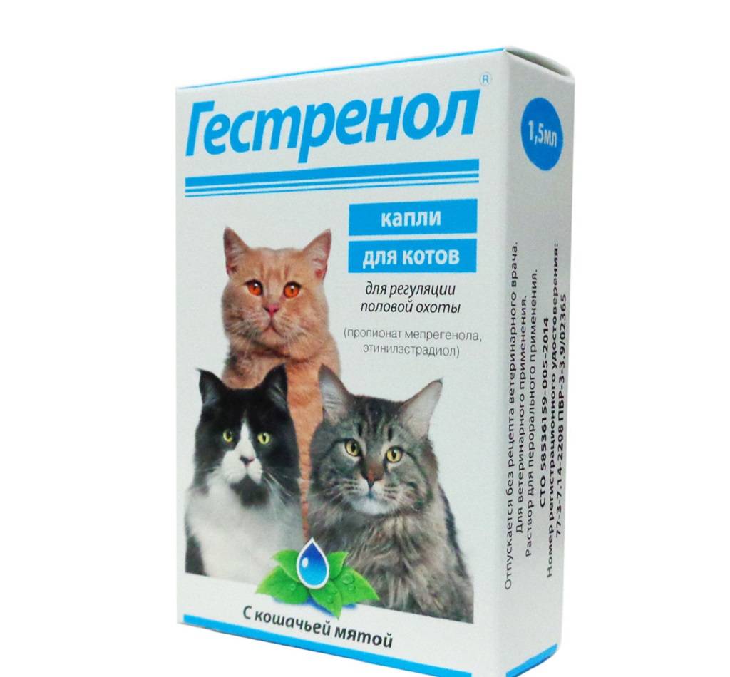 Капли для кошек гестренол: применение и отзывы ветеринаров