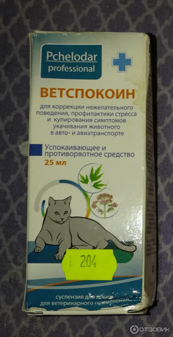 Успокоительное для кошек - обзор препаратов