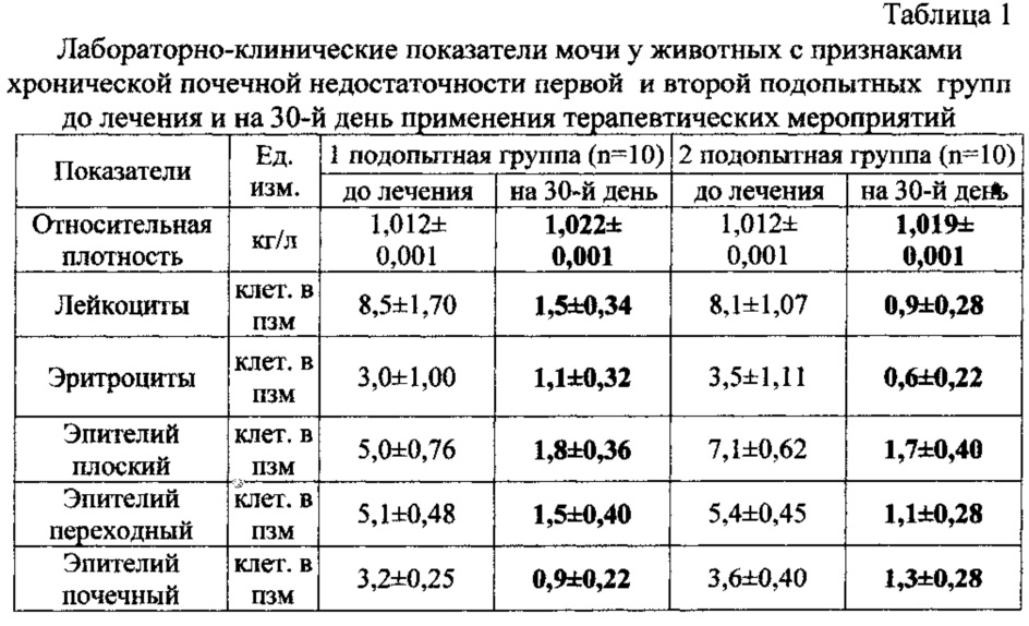 Лечение хпн у кошек схема лечения и препараты