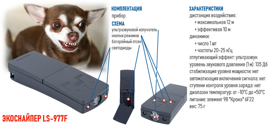 Какого запаха боятся собаки, чтобы не гадили?